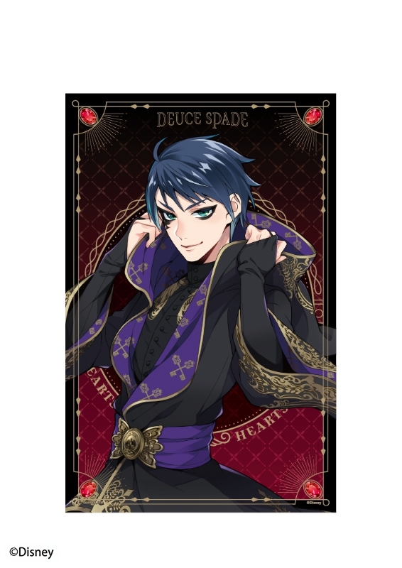 【グッズ-タペストリー】ディズニー ツイステッドワンダーランド A2変形タペストリー2 (3)デュース・スペード