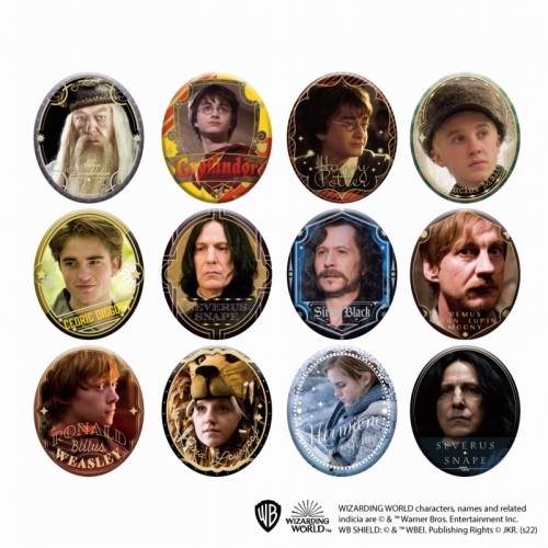 グッズ バッチ ハリー ポッター オーバルカンバッジコレクション アニメイト