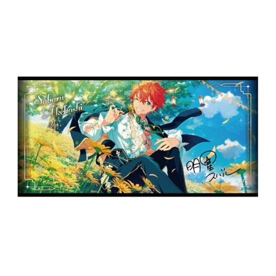 【グッズ-タオル】あんさんぶるスターズ!! ビジュアルバスタオル vol.5 6.明星スバル