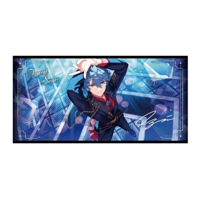 【グッズ-タオル】あんさんぶるスターズ!! ビジュアルバスタオル vol.6 44.瀬名泉