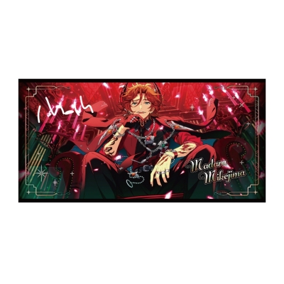 【グッズ-タオル】あんさんぶるスターズ!! ビジュアルバスタオル vol.6 50.三毛縞斑