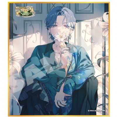 【グッズ-色紙】プロジェクトセカイ カラフルステージ! feat. 初音ミク ミニ色紙コレクション 第51弾A 想いをのせて!Dream Stage(全10種)