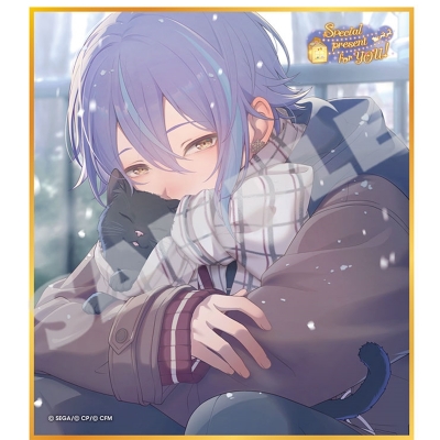 【グッズ-色紙】プロジェクトセカイ カラフルステージ! feat. 初音ミク ミニ色紙コレクション 第53弾C Special present for YOU!(全9種)