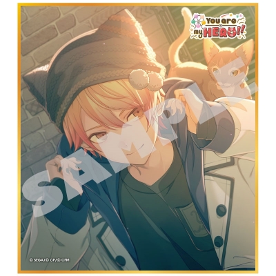 【グッズ-色紙】プロジェクトセカイ カラフルステージ! feat. 初音ミク ミニ色紙コレクション 第56弾B You are my HERO!!(全9種)