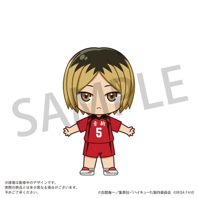 【グッズ-スタンドポップ】ハイキュー!! アクドール 孤爪 研磨