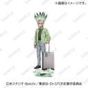 【グッズ-スタンドポップ】Dr.STONE アクリルスタンド 石神千空の画像