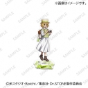 【グッズ-スタンドポップ】Dr.STONE アクリルスタンド スイカの画像