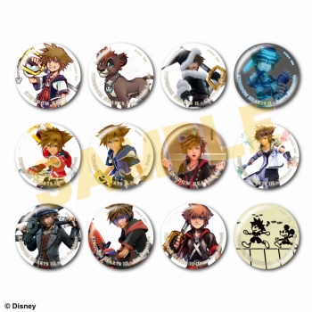 グッズ-バッチ】キングダム ハーツ カンバッジコレクション ＜ソラ 