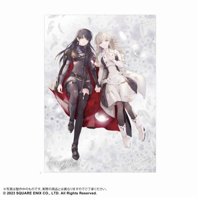 【グッズ-ポスター】トワツガイ クリアポスター <カラス・ハクチョウ>