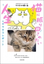 【コミック】猫に振り回されたい人生 #ヤマネコレポートの画像