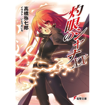 【小説】灼眼のシャナ XX