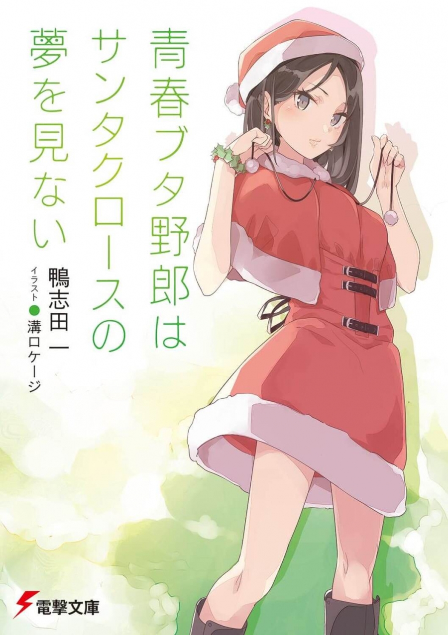 【小説】青春ブタ野郎はサンタクロースの夢を見ない