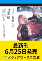 【小説】拝啓見知らぬ旦那様、離婚していただきますVIの画像