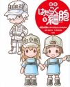 【その他(書籍)】絵本 はたらく細胞(5) 身近な病気とケガ かぜとたんこぶのひみつの画像