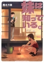 【コミック】妹は知っている(8)の画像