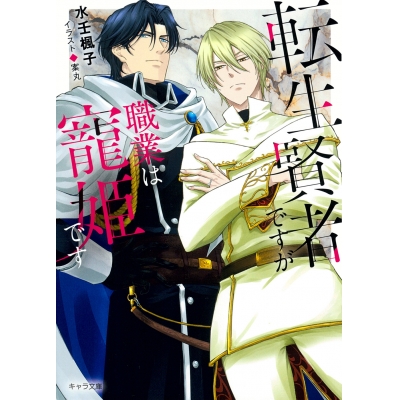 【小説】転生賢者ですが職業は寵姫です