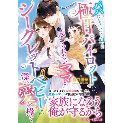 【小説】パパになっていたと知った極甘パイロットは、忘れられないママとシークレットベビーに深い愛を捧ぐ