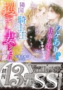 【小説】ワケありなので仕事に生きようとしていたら隣国の騎士王に攫うように妻にされましたの画像