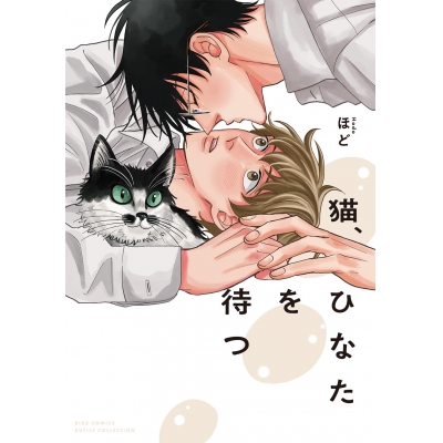 【コミック】猫、ひなたを待つ