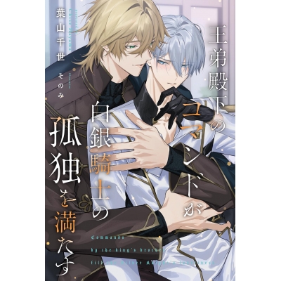 【小説】王弟殿下のコマンドが白銀騎士の孤独を満たす