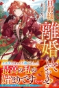 【小説】旦那様、離婚してくださいませ!の画像