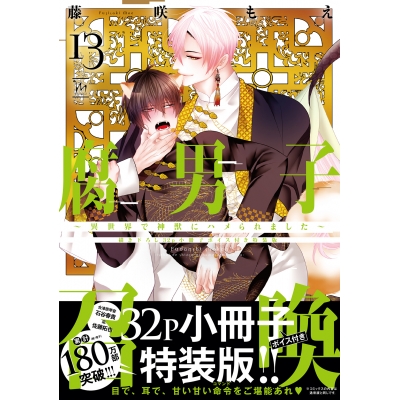 【コミック】腐男子召喚~異世界で神獣にハメられました~(13) 特装版