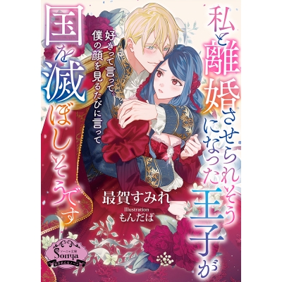 【小説】私と離婚させられそうになった王子が国を滅ぼしそうです