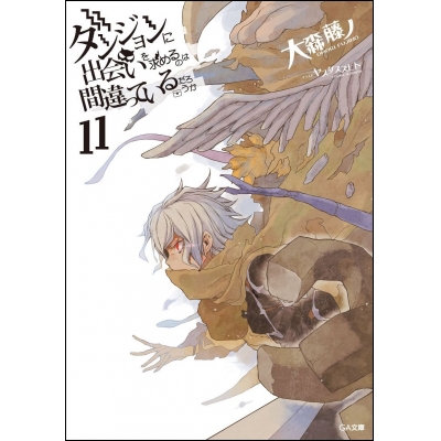 【小説】ダンジョンに出会いを求めるのは間違っているだろうか(11) 通常版