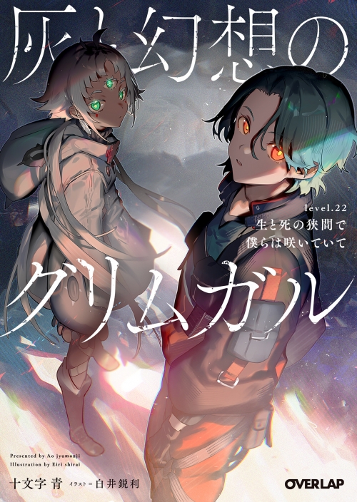 小説】灰と幻想のグリムガル level.22 生と死の狭間で僕らは咲いていて 