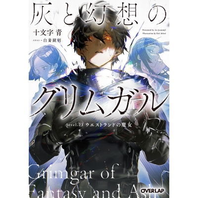 【小説】灰と幻想のグリムガル level.23 ウエストランドの魔女
