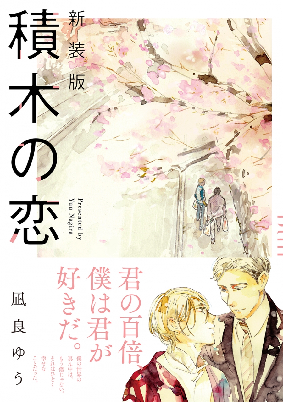 【小説】新装版 積木の恋