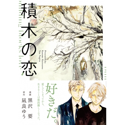 【コミック】積木の恋
