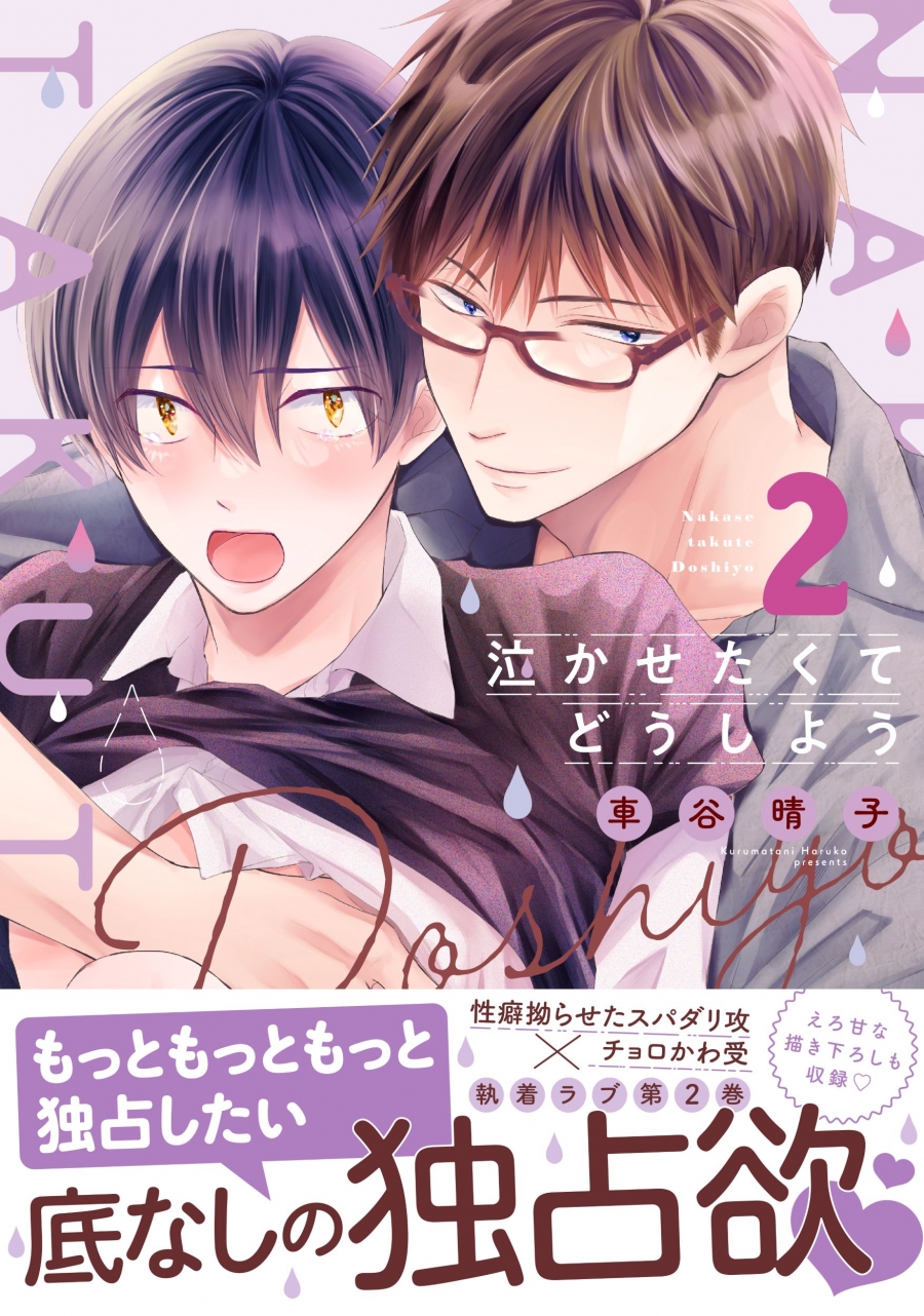 【コミック】泣かせたくてどうしよう(2)